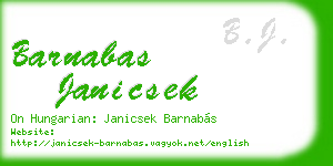barnabas janicsek business card
